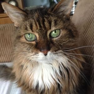 Meet your Posher, Sharon